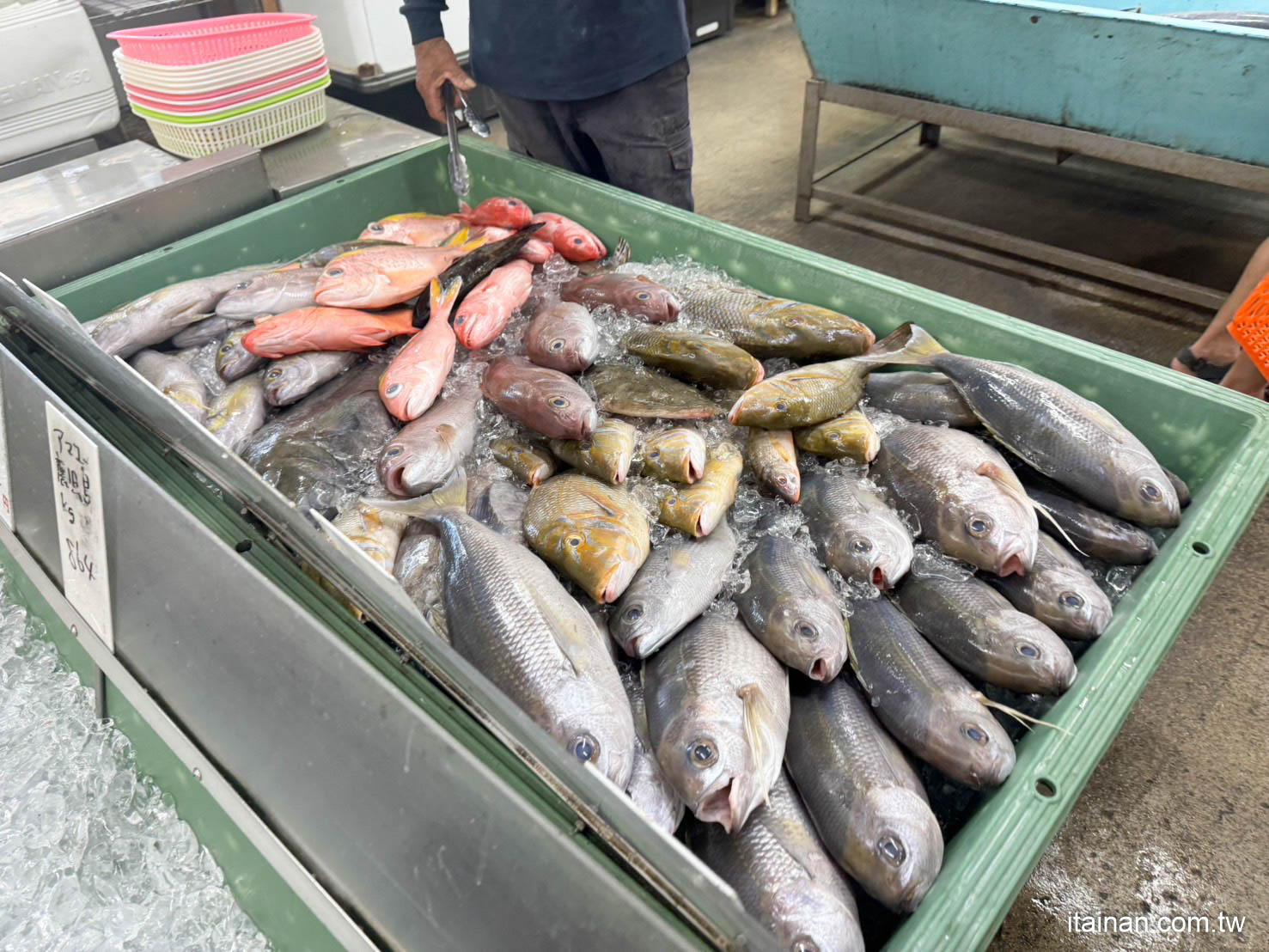 1311元吃海膽美乃滋烤龍蝦、鰻魚飯、生魚片套餐大滿足!沖繩美食必吃!「泡瀨漁港 パヤオ直売店」沖繩三大漁港之一泡瀨漁港｜沖繩自由行｜沖繩旅遊