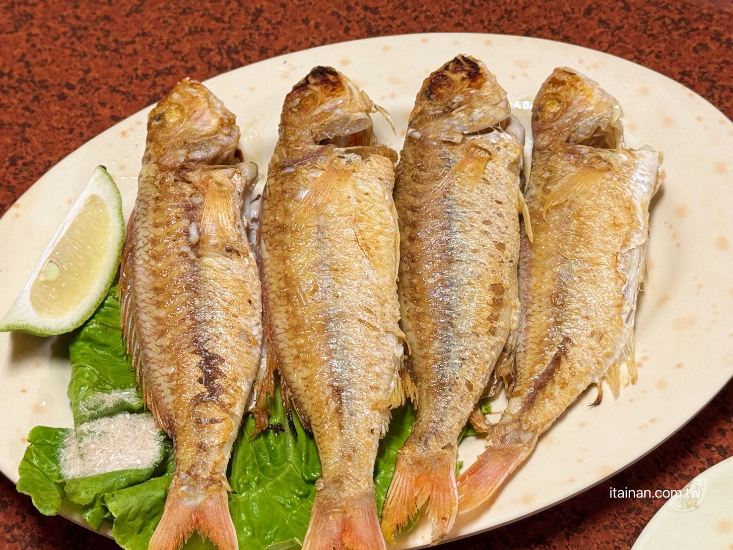 海產店竟藏超好吃炸雞翅!台南人的深夜食堂老饕帶路才知道，「尚海海產」海產粥、炸雞翅必點｜尚海活虫市