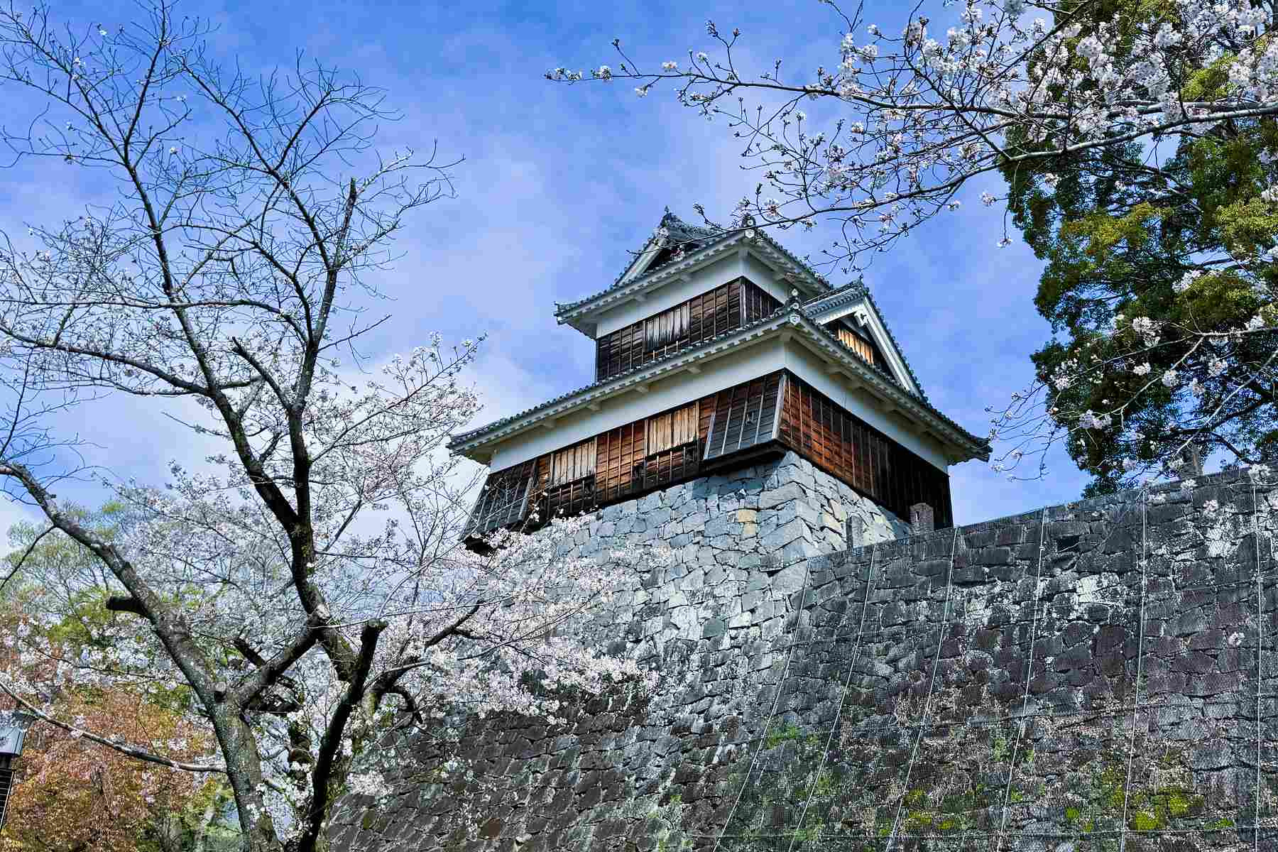 【九州熊本必訪景點】熊本城一日遊全攻略｜交通、天守閣參觀重點、城彩苑美食推薦