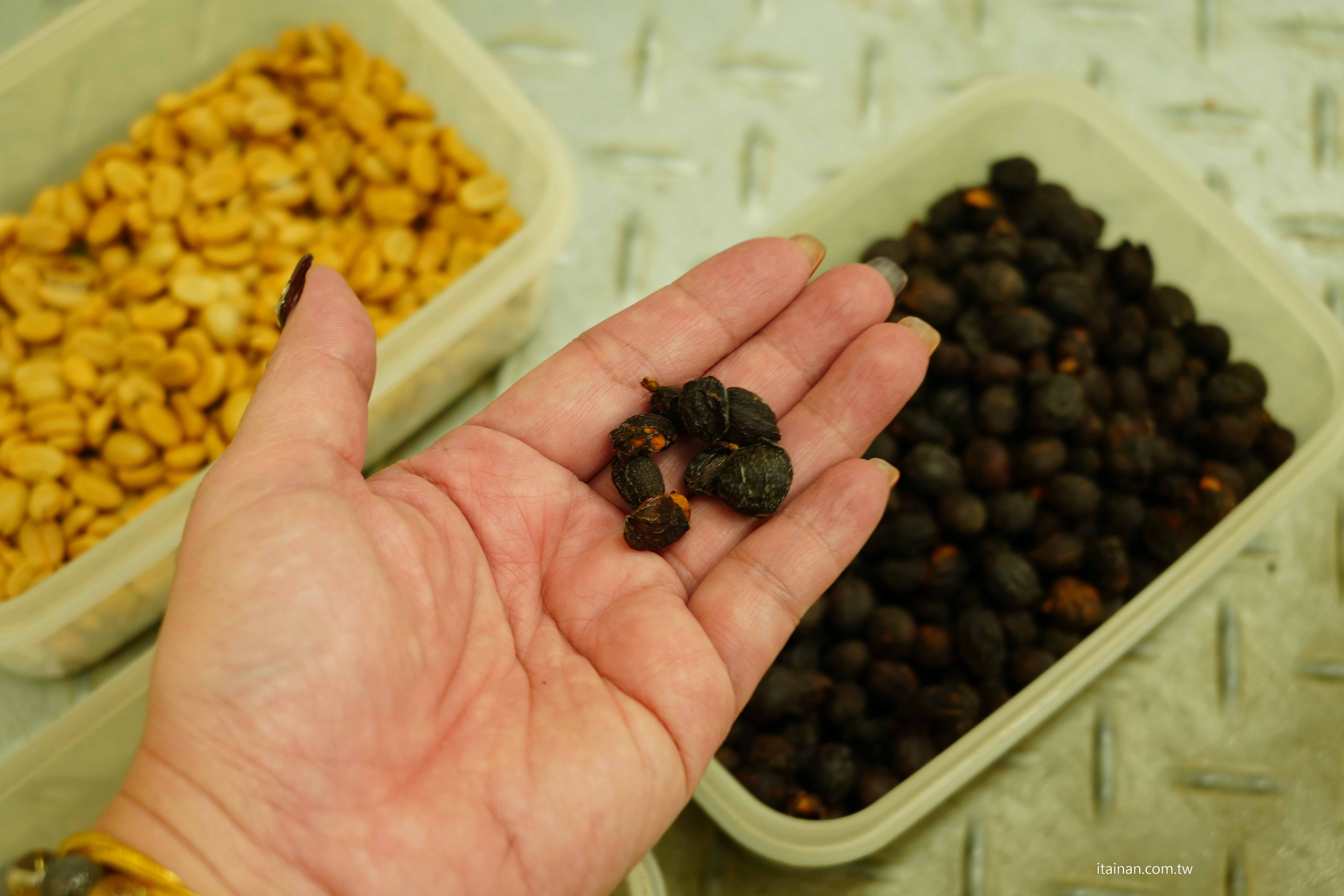 【屏東兩日遊】一路開進山林與咖啡香~屏東大武山 、 部落文化 、食農體驗的慢旅行｜屏東咖啡園區、璞玉翡珂、大武山山林教育服務中心、屏東原百貨、二峰圳、台灣金石咖啡休閒農場、屏東可可巧克力園區