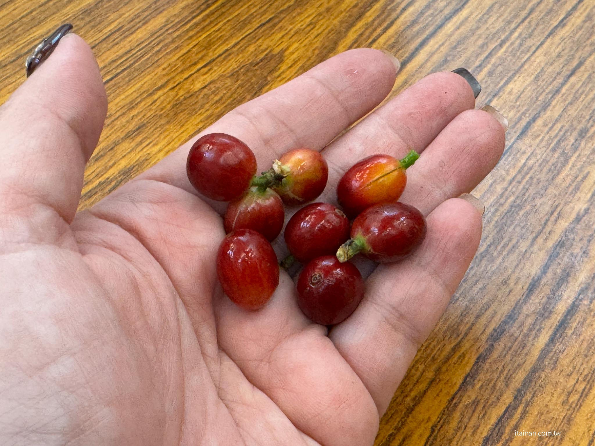 【屏東兩日遊】一路開進山林與咖啡香~屏東大武山 、 部落文化 、食農體驗的慢旅行｜屏東咖啡園區、璞玉翡珂、大武山山林教育服務中心、屏東原百貨、二峰圳、台灣金石咖啡休閒農場、屏東可可巧克力園區