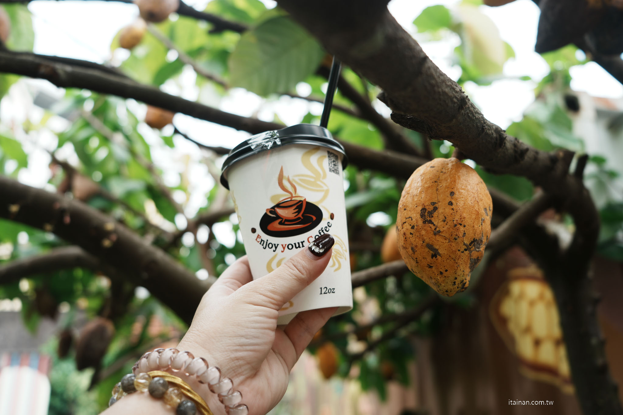 【屏東兩日遊】一路開進山林與咖啡香~屏東大武山 、 部落文化 、食農體驗的慢旅行｜屏東咖啡園區、璞玉翡珂、大武山山林教育服務中心、屏東原百貨、二峰圳、台灣金石咖啡休閒農場、屏東可可巧克力園區