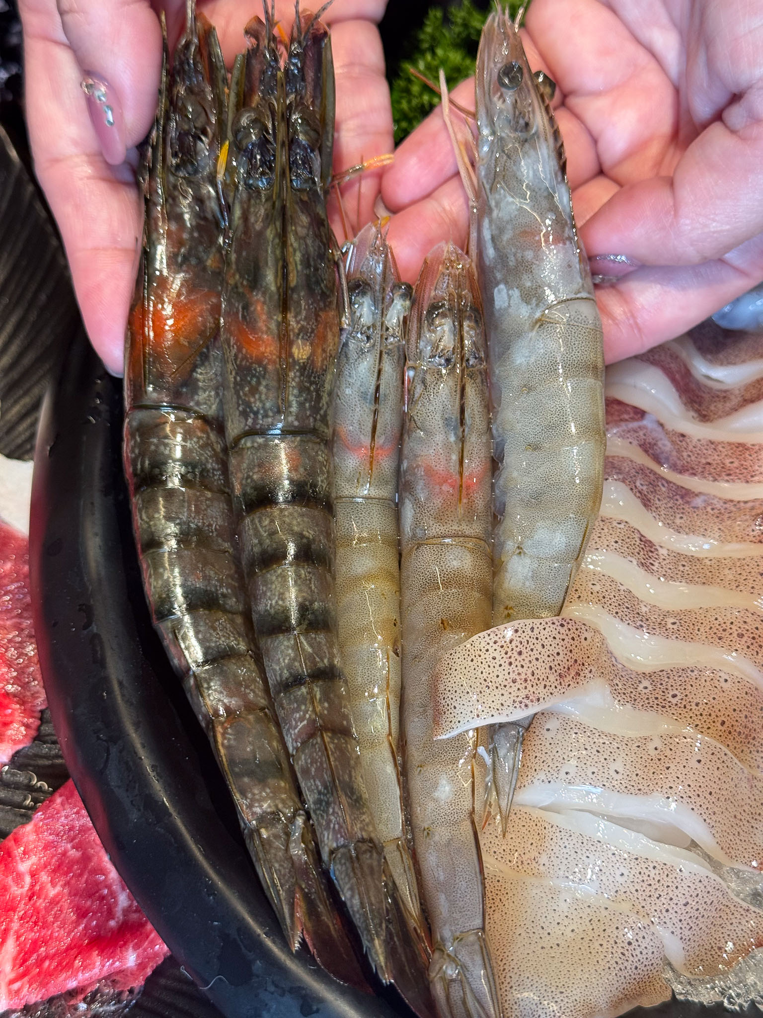 台南安平火鍋推薦｜森林系鍋物「蕾鼎鍋物」開箱！半自助吃到飽，濃蒜鍋必點，海鮮份量有誠意!