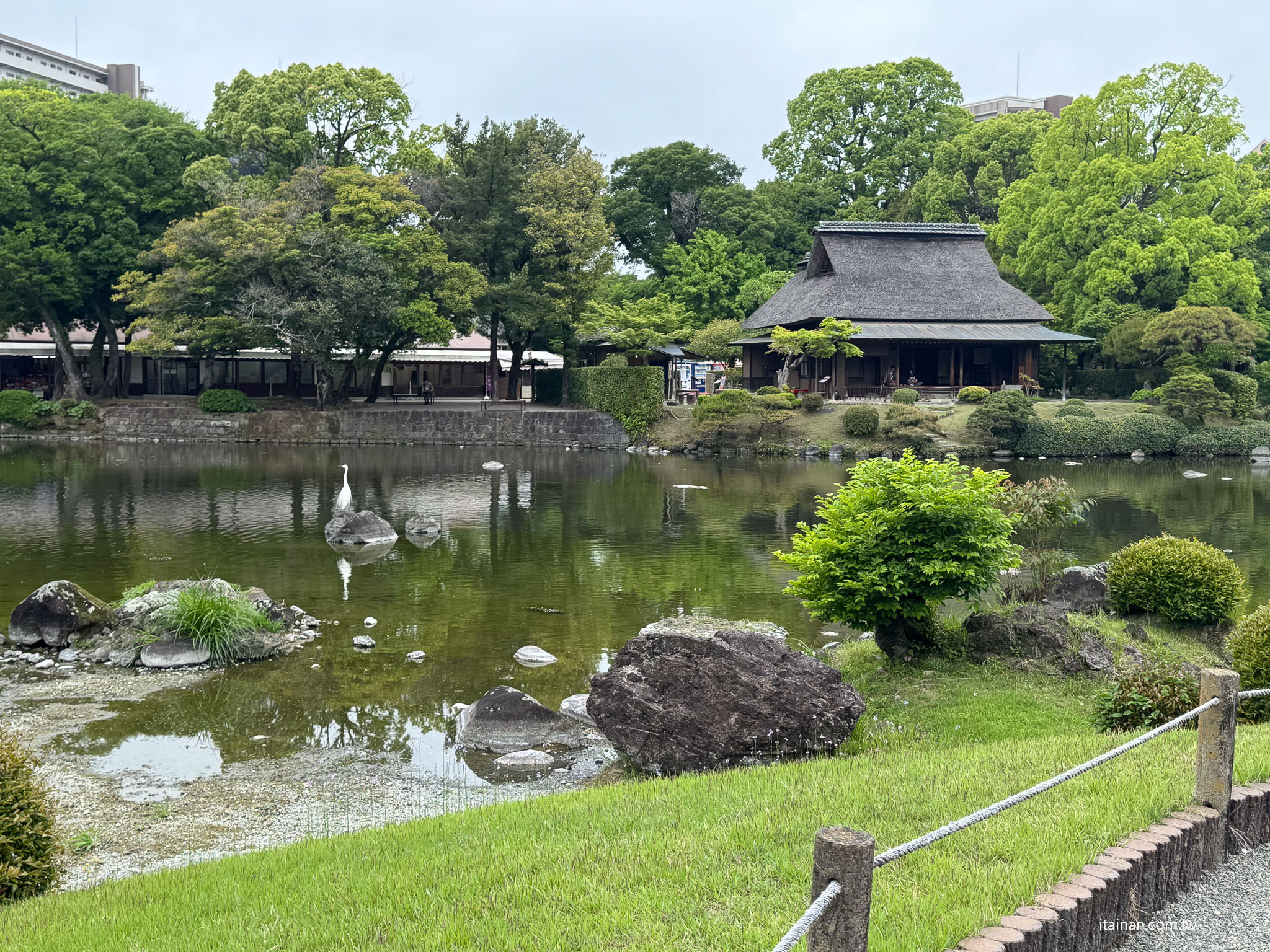 台南直飛熊本四天三夜自由行|睡一覺就到日本!台南人最輕鬆的日本旅行提案,行程、美食、交通一次整理 台南直飛熊本四天三夜自由行|睡一覺就到日本!台南人最輕鬆的日本旅行提案,行程、美食、交通一次整理