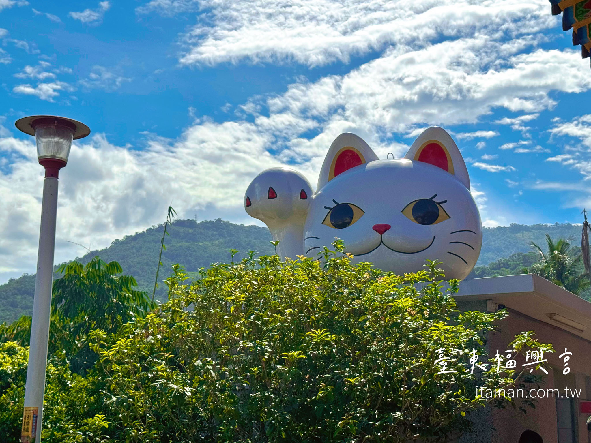 台東景點推薦|全台最萌招財貓土地公!必拍巨型招財貓、台版雷門、全台唯一水占籤透明詩籤體驗!台東太麻里「福興宮」 台東景點推薦|全台最萌招財貓土地公!必拍巨型招財貓、台版雷門、全台唯一水占籤透明詩籤體驗!台東太麻里「福興宮」
