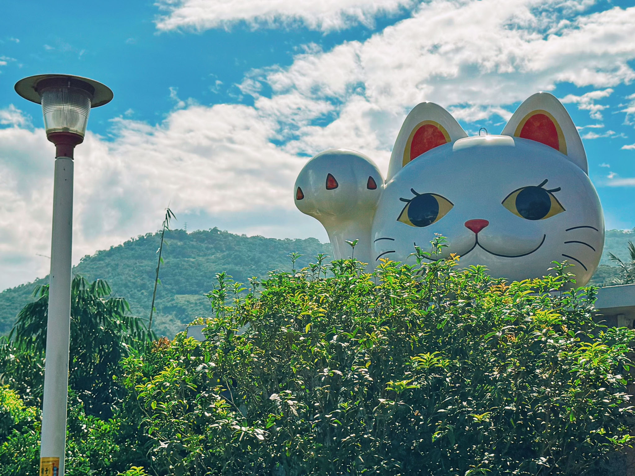 台東景點推薦|全台最萌招財貓土地公!必拍巨型招財貓、台版雷門、全台唯一水占籤透明詩籤體驗!台東太麻里「福興宮」 台東景點推薦|全台最萌招財貓土地公!必拍巨型招財貓、台版雷門、全台唯一水占籤透明詩籤體驗!台東太麻里「福興宮」