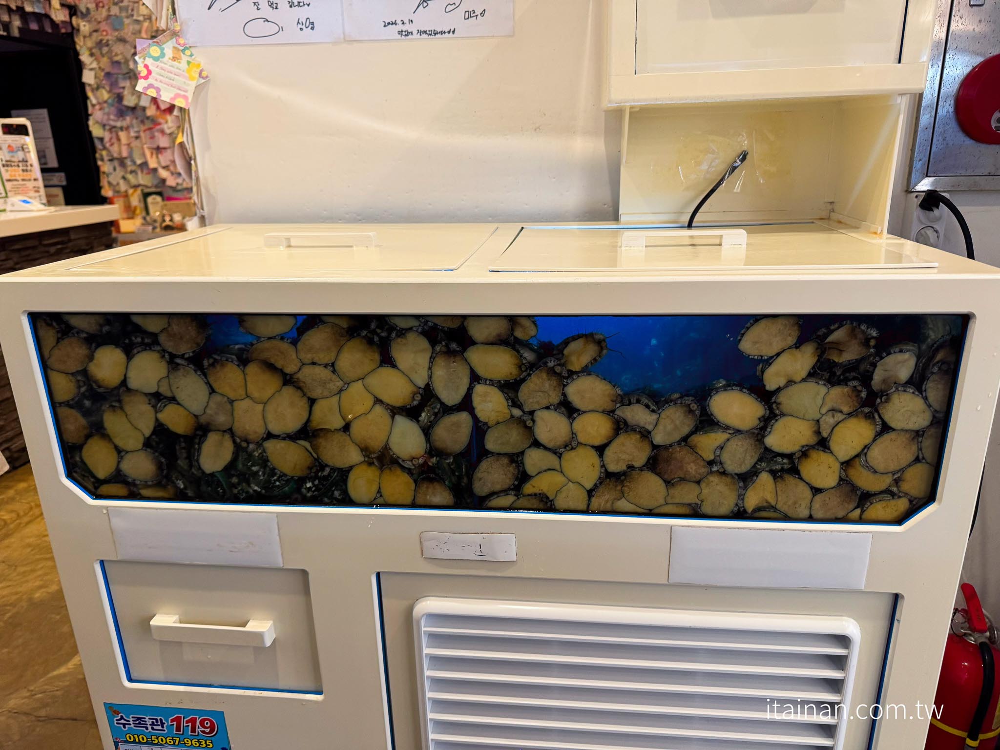 濟州島美食｜濟州必吃帶魚料理！人氣燉帶魚、烤帶魚一次滿足，還可以採買伴手禮「濟州廣海 涯月本店 제주광해 애월본점 Jeju Gwanghae Aewol」