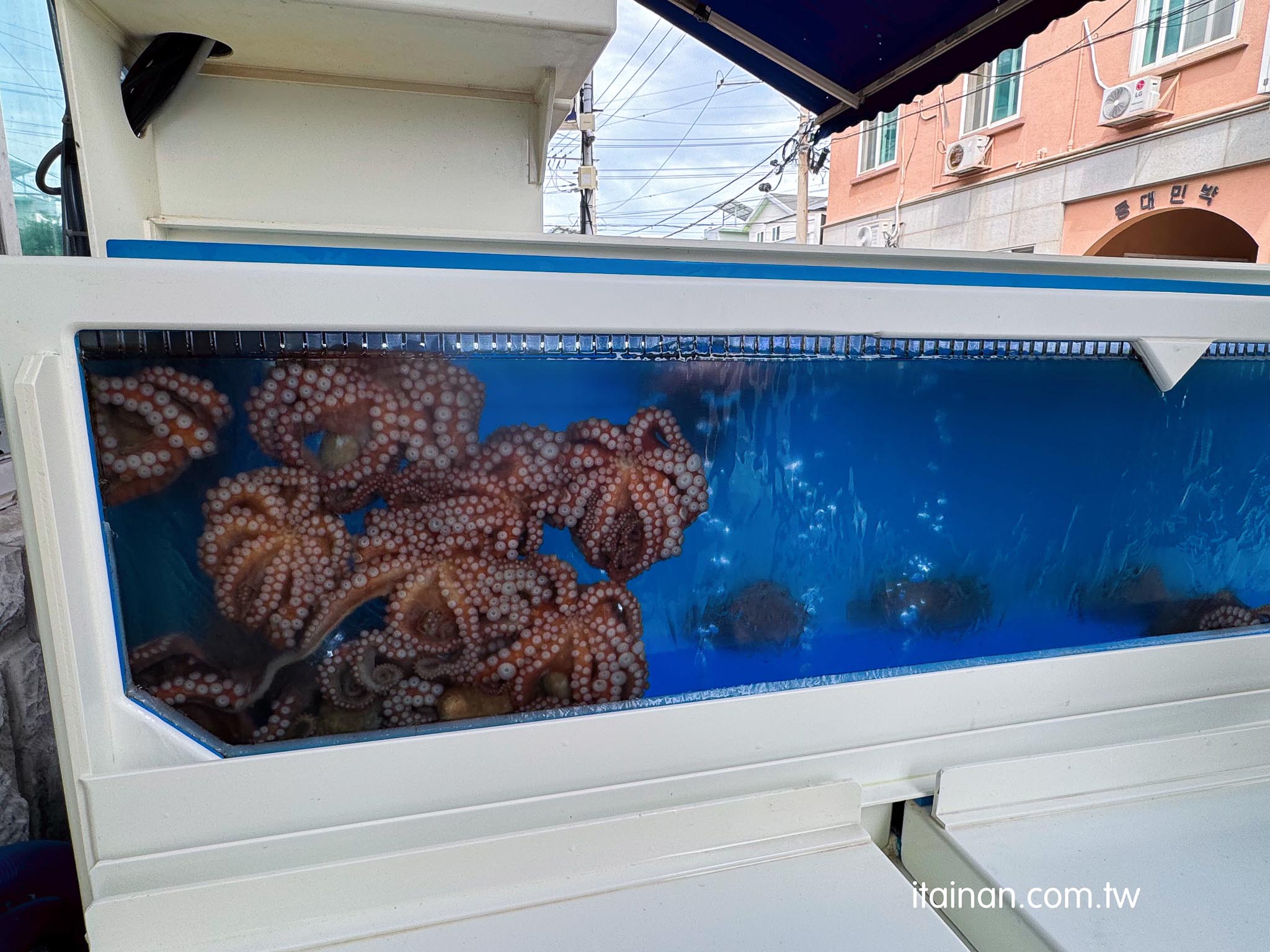 濟州島美食|太浮誇!海鮮在鍋子裡跳舞!整鍋鮑魚、章魚、螃蟹堆成山,上桌竟然還會動「三姓穴海鮮湯 道頭店 삼성혈해물탕 도두점」 濟州島美食|太浮誇!海鮮在鍋子裡跳舞!整鍋鮑魚、章魚、螃蟹堆成山,上桌竟然還會動「三姓穴海鮮湯 道頭店 삼성혈해물탕 도두점」